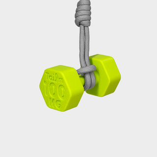 Dumbbell-Neon Green